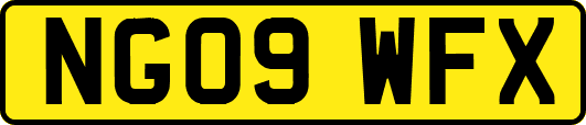 NG09WFX