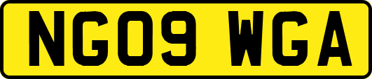 NG09WGA
