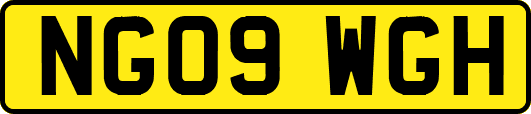 NG09WGH