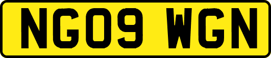 NG09WGN