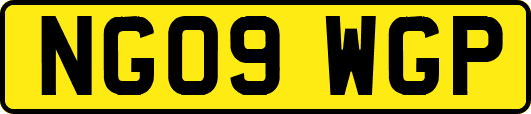 NG09WGP