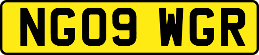 NG09WGR