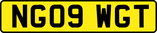 NG09WGT