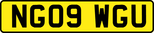 NG09WGU