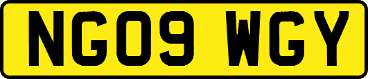 NG09WGY
