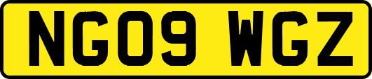 NG09WGZ