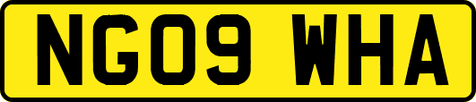 NG09WHA