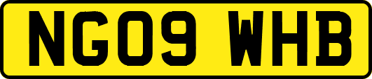 NG09WHB