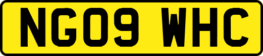 NG09WHC