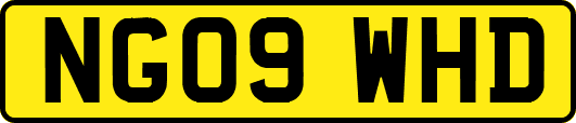 NG09WHD
