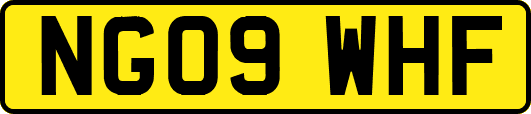 NG09WHF