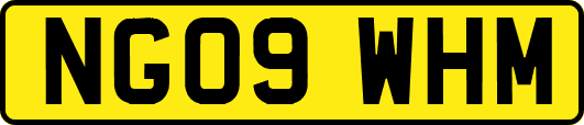 NG09WHM