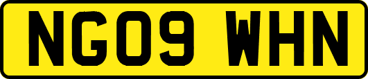 NG09WHN
