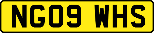 NG09WHS