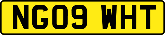 NG09WHT