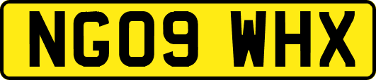 NG09WHX