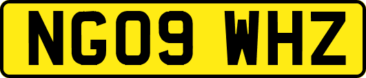 NG09WHZ