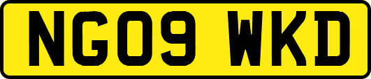 NG09WKD