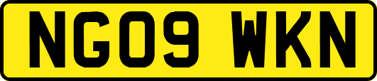 NG09WKN