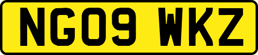 NG09WKZ