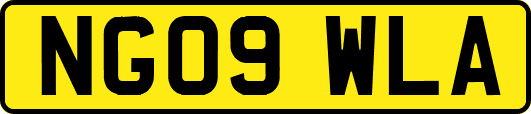 NG09WLA