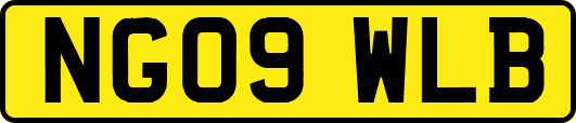 NG09WLB