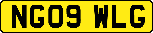 NG09WLG