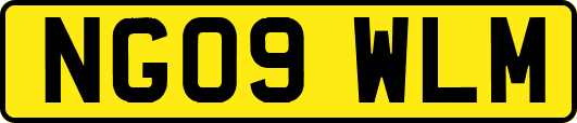 NG09WLM