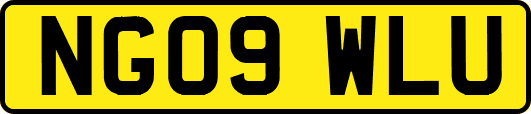 NG09WLU