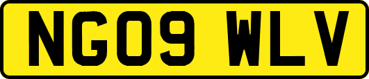 NG09WLV