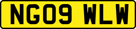 NG09WLW