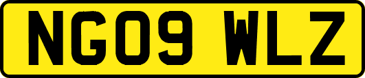 NG09WLZ