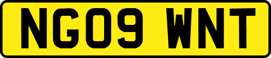 NG09WNT
