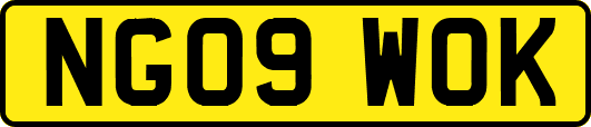 NG09WOK