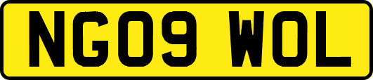 NG09WOL