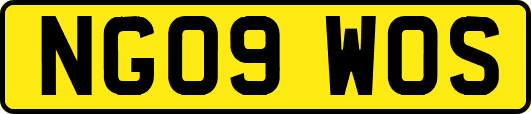 NG09WOS