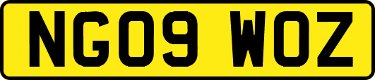 NG09WOZ