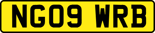 NG09WRB