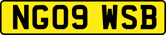 NG09WSB