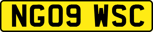 NG09WSC