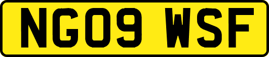 NG09WSF