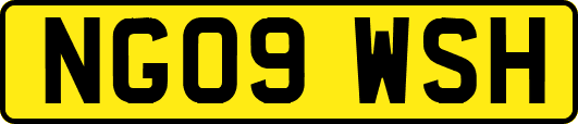 NG09WSH