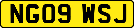 NG09WSJ