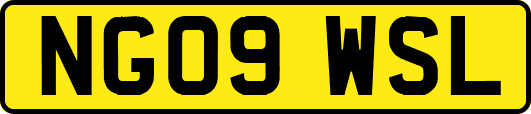 NG09WSL