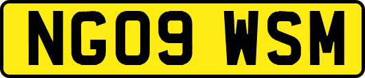 NG09WSM