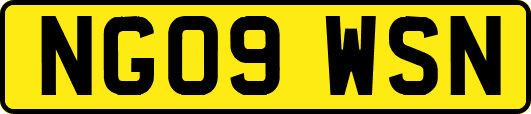 NG09WSN
