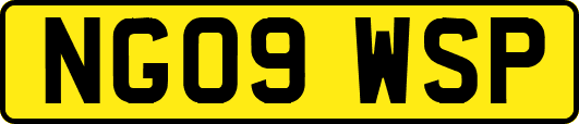 NG09WSP