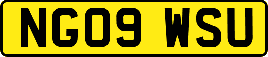 NG09WSU