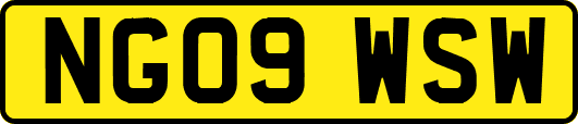 NG09WSW