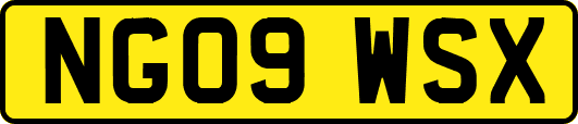 NG09WSX